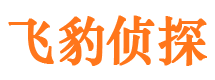 日土背景调查